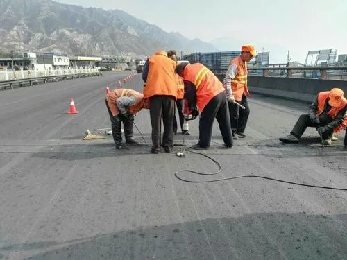 陆河道路桥梁病害治理